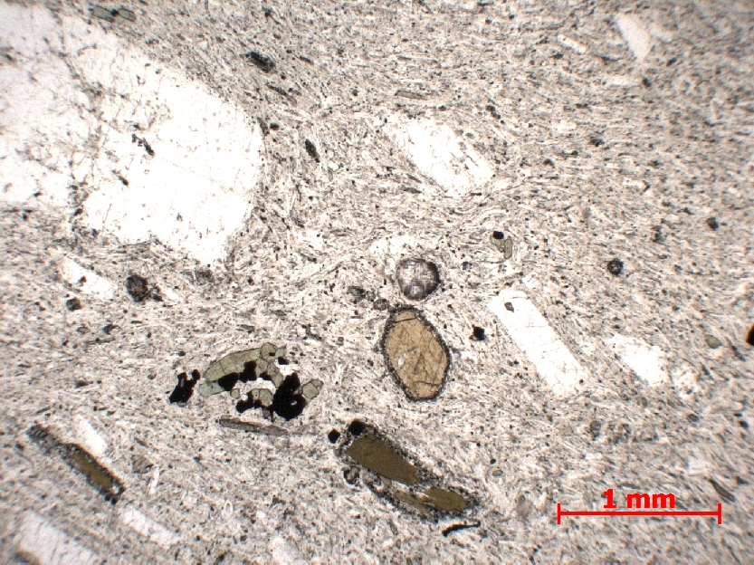  Microscope Phonolite Phonolite de la Roche Sanadoire Massif central Mont Dore Orcival La roche Sanadoire