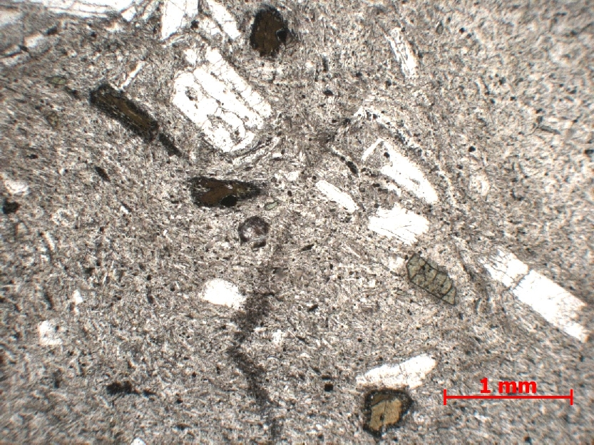  Microscope Phonolite Phonolite    