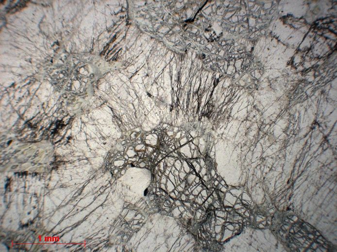  Microscope Troctolite Gabbro à olivine    