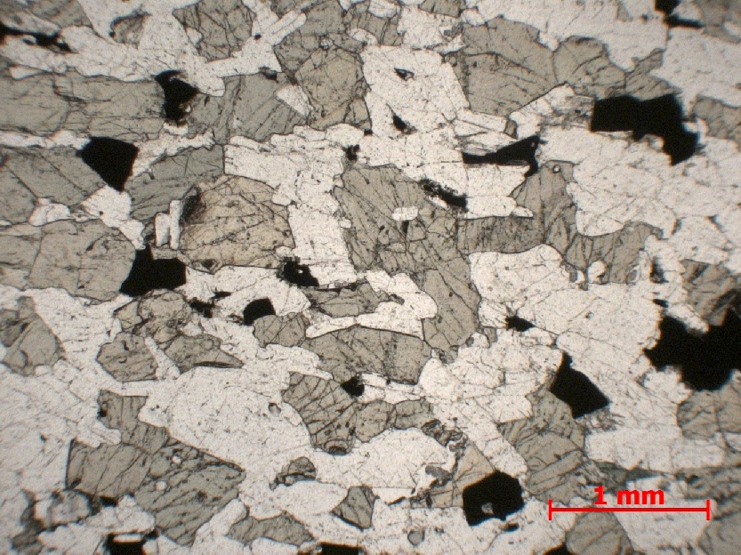  Microscope Gabbro lité Gabbro lité d’Ardnamurchan Province magmatique des Hébrides Ardnamurchan  