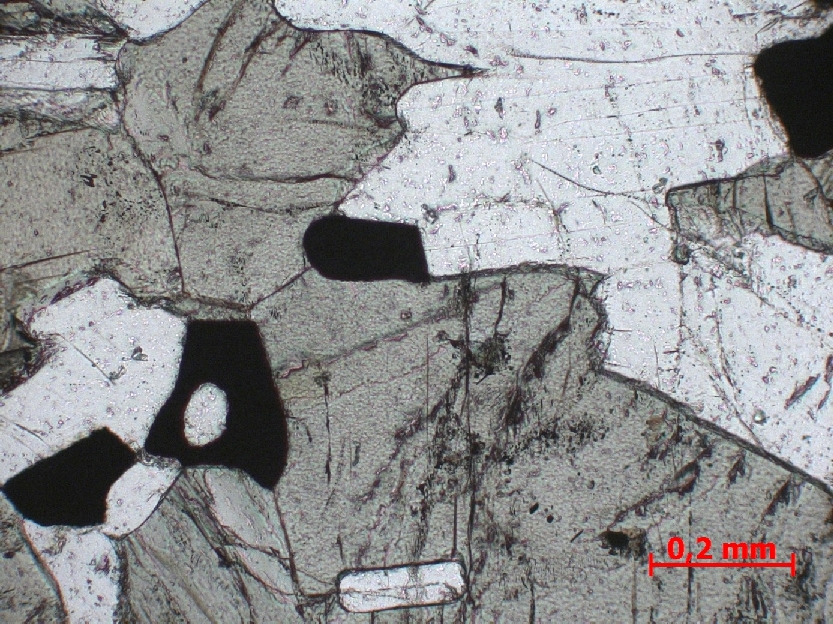  Microscope Gabbro lité Gabbro lité d’Ardnamurchan Province magmatique des Hébrides Ardnamurchan  