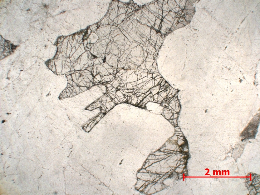  Microscope Gabbro Gabbro à olivine    
