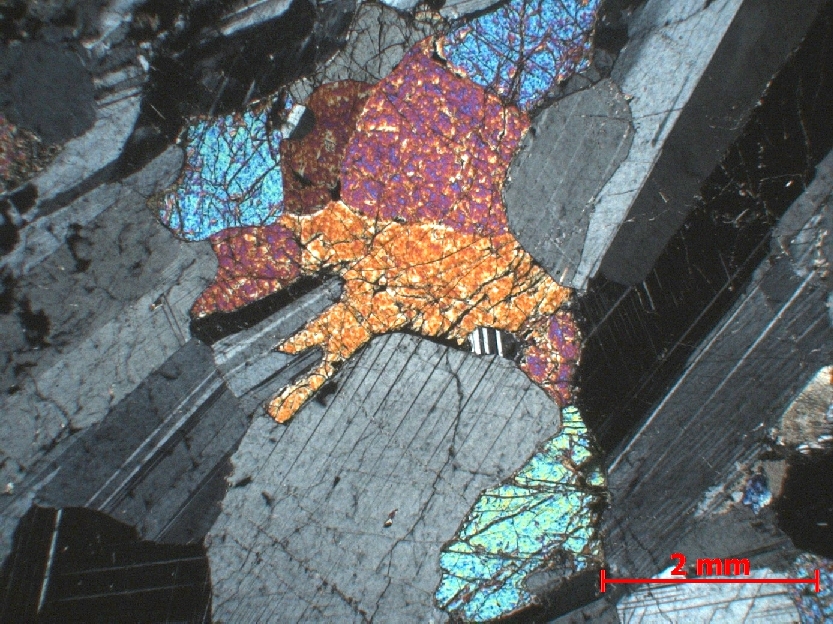  Microscope Gabbro Gabbro à olivine    