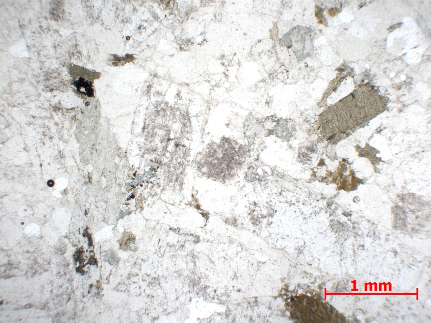 Diorite quartzique Diorite quartzique Massif central   Proximité de Laschamps