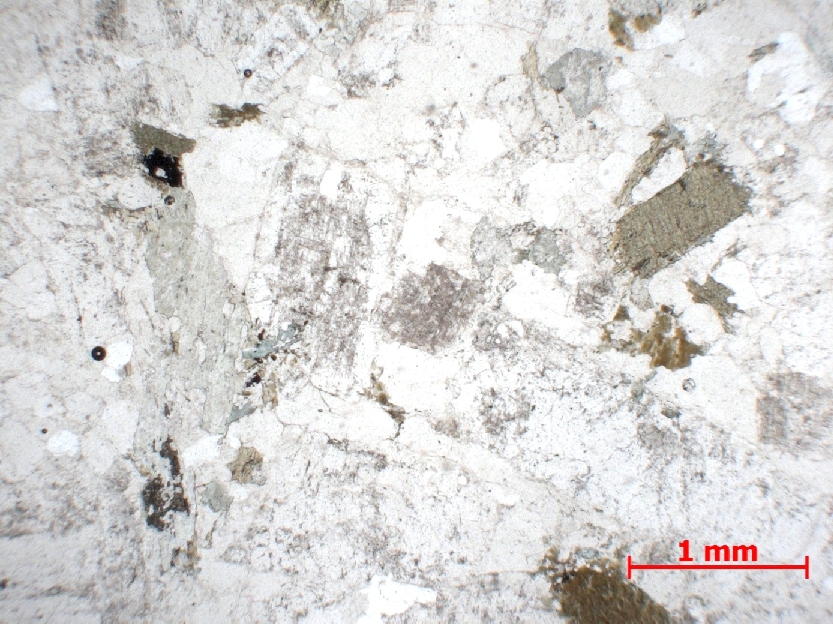  Microscope Diorite quartzique Diorite quartzique Massif central   Proximité de Laschamps