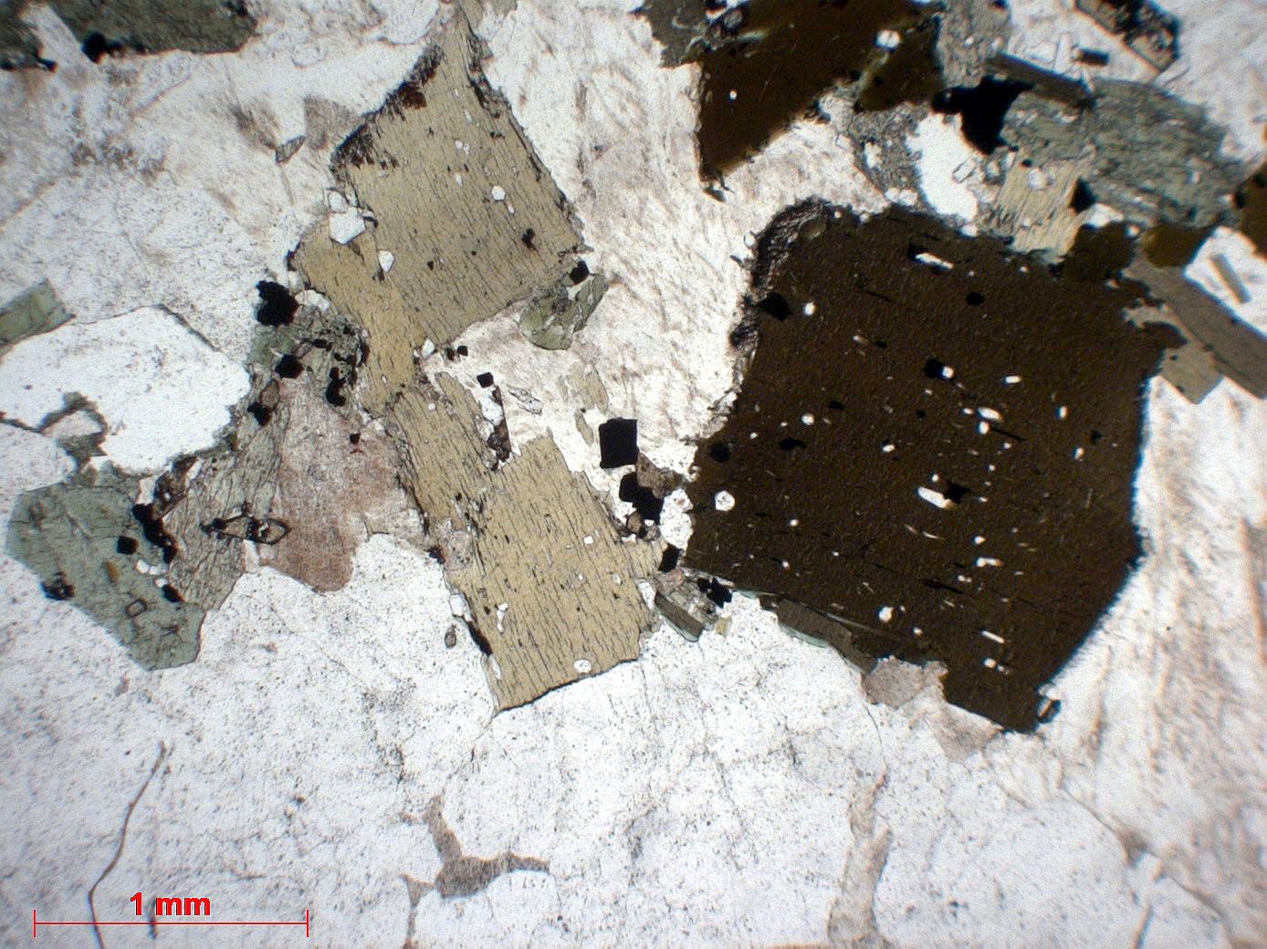 Granodiorite Granodiorite    
