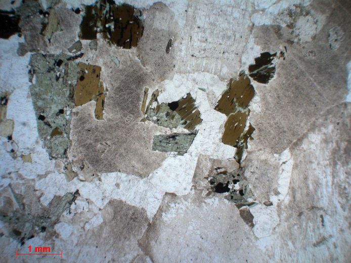  Microscope Granodiorite Granodiorite    