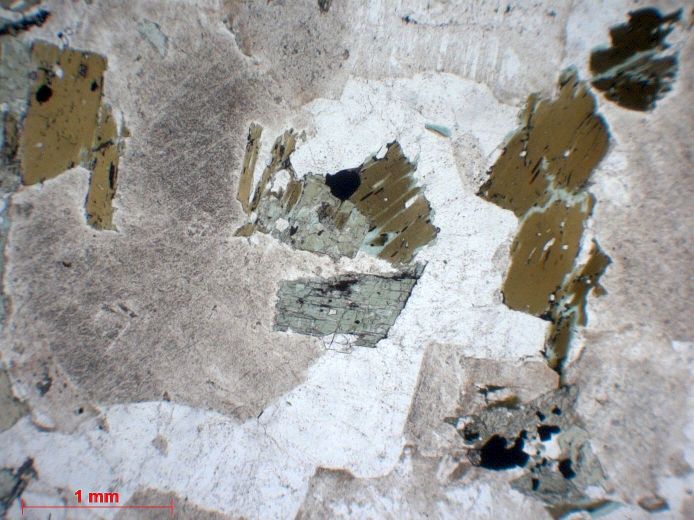  Microscope Granodiorite Granodiorite    