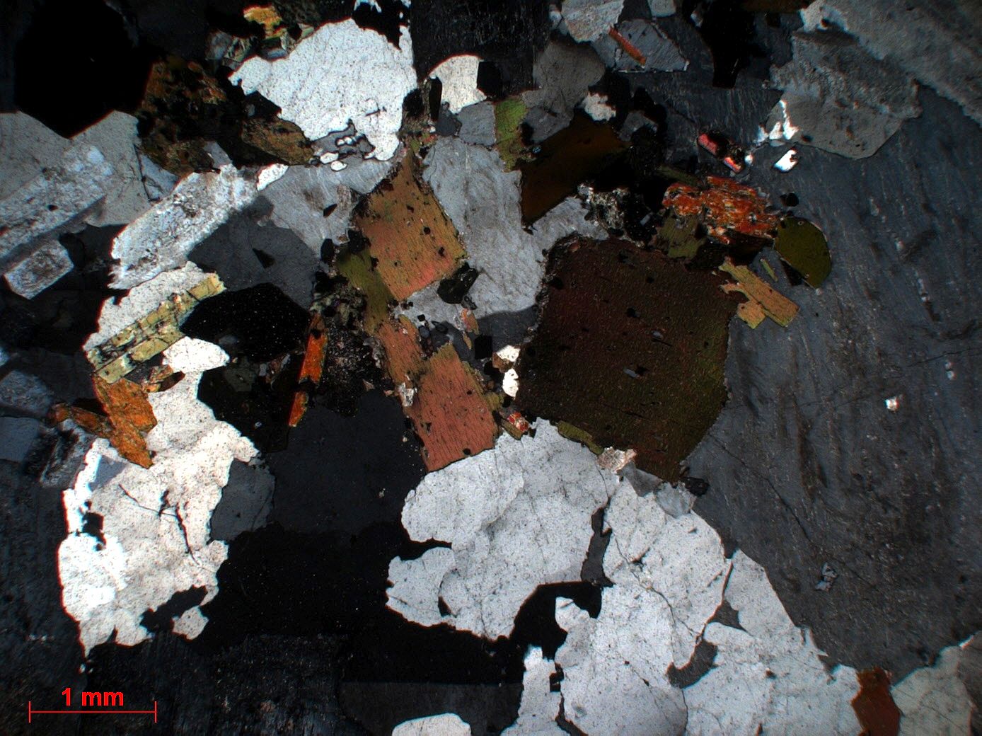 Granodiorite