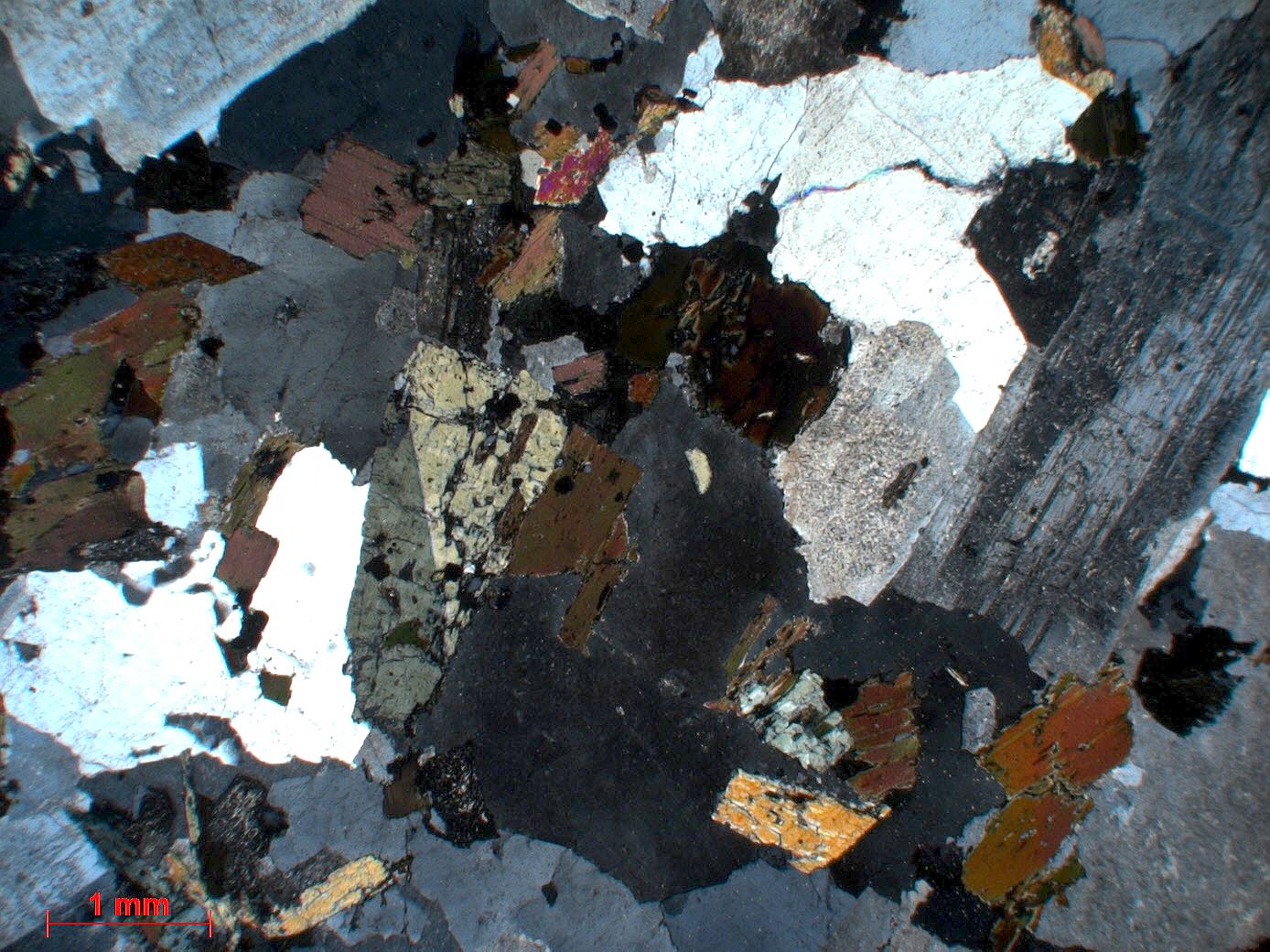 Granodiorite Granodiorite    