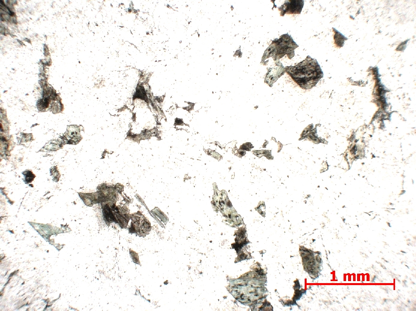  Microscope Plagiogranite Albitite Alpes Massif du Chenaillet Montgenèvre Proximité du lac des Serailles