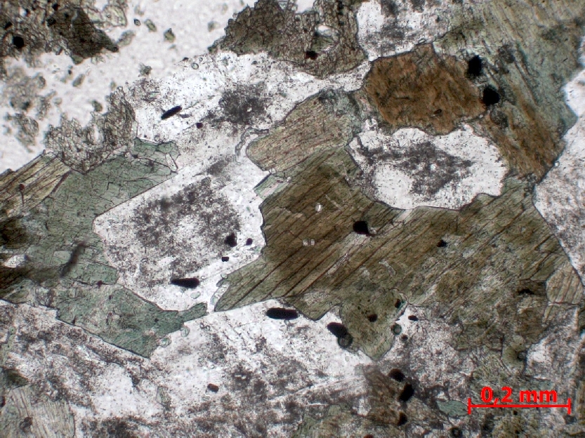  Microscope Tonalite Tonalite Alpes Massif d’Adamello-Presanella   