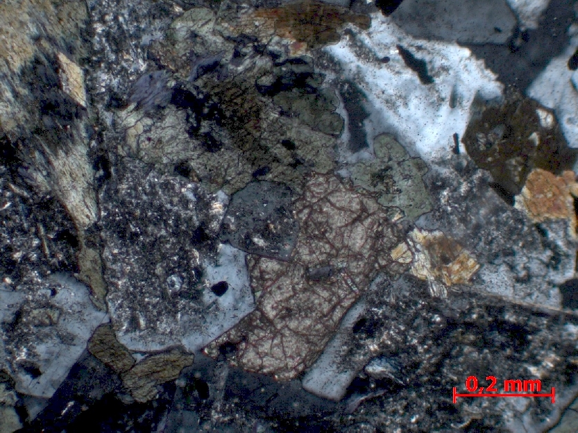  Microscope Tonalite Tonalite Alpes Massif d’Adamello-Presanella   