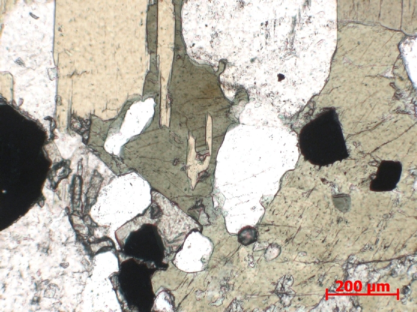  Microscope Syénite Syénite de Biella Alpes Provincia di Biella   
