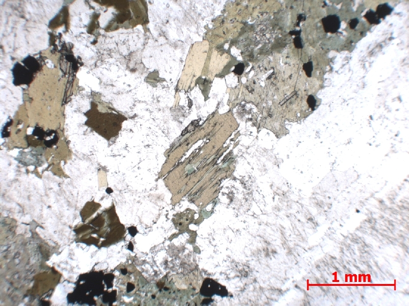  Microscope Syénite Syénite de Biella Alpes Provincia di Biella   