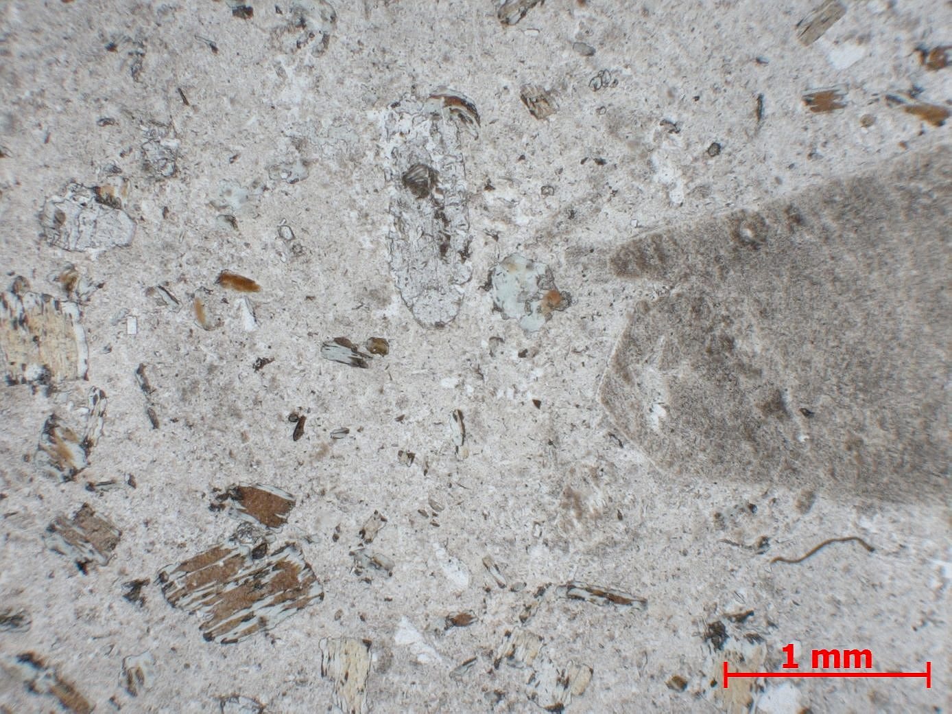 Syénite Microsyénite    
