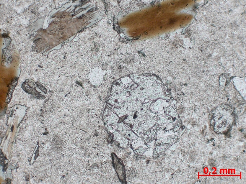  Microscope Syénite Microsyénite    