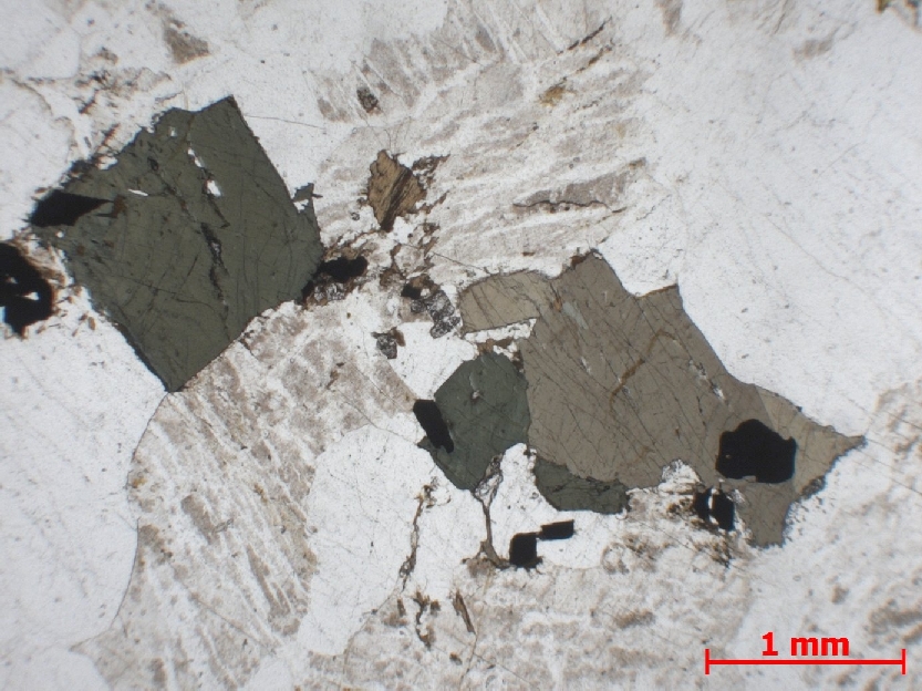  Microscope Syénite quartzique Syénite quartzique    
