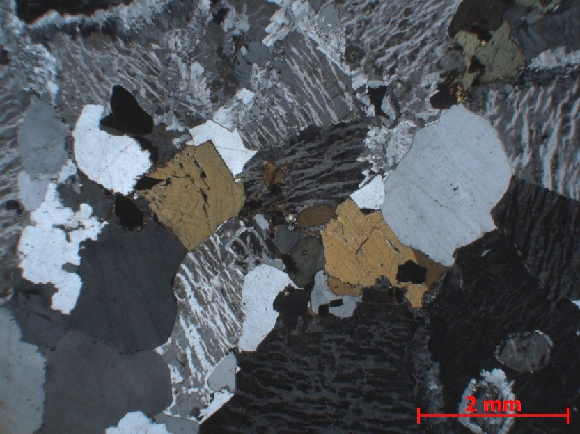  Microscope Syénite quartzique Syénite quartzique    