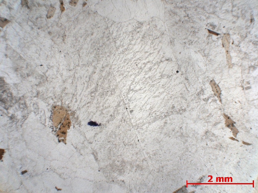  Microscope Granite porphyroïde Granite de Huelgoat Massif armoricain  Huelgoat 