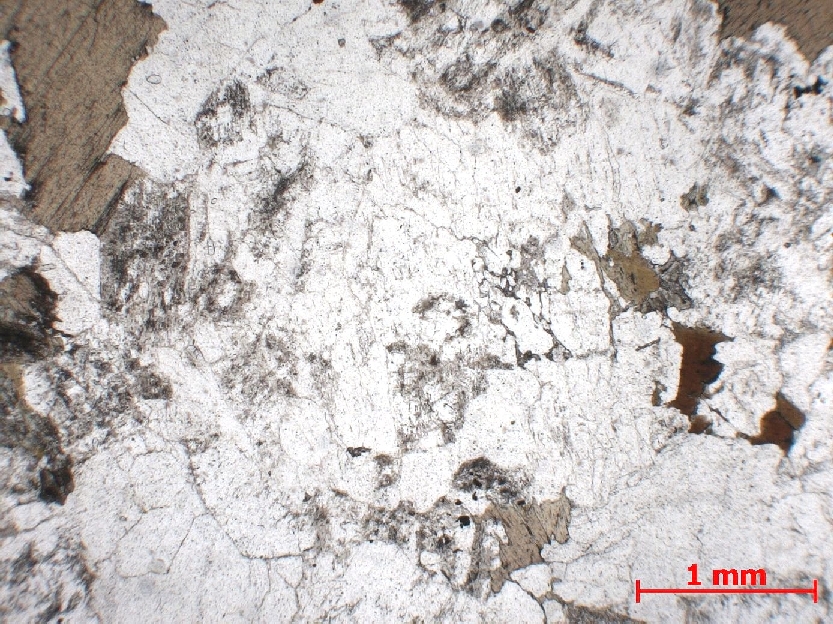  Microscope Granite Granite à amphibole    