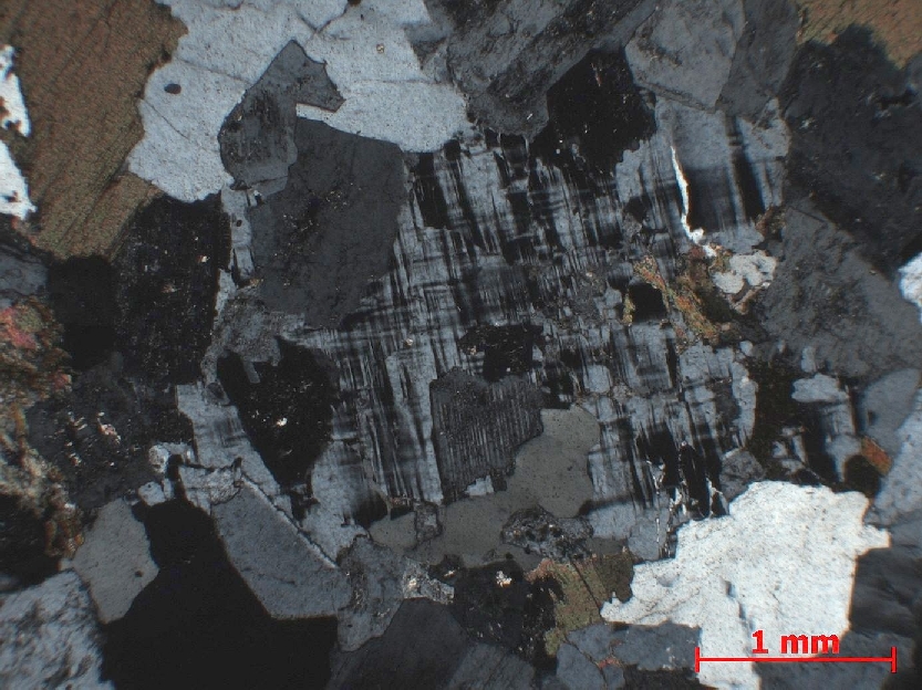  Microscope Granite Granite à amphibole    
