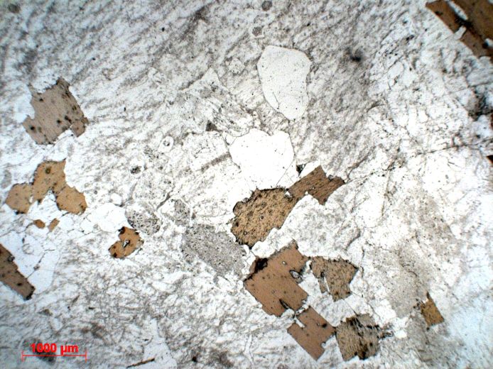  Microscope Granite Granite à deux micas    