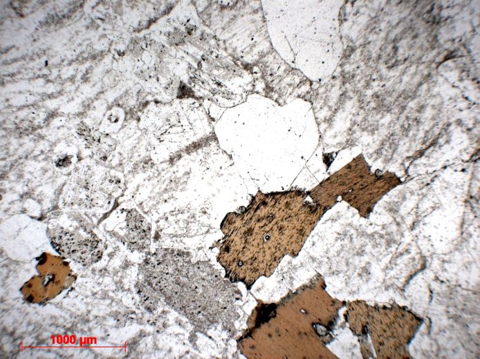  Microscope Granite Granite à deux micas    
