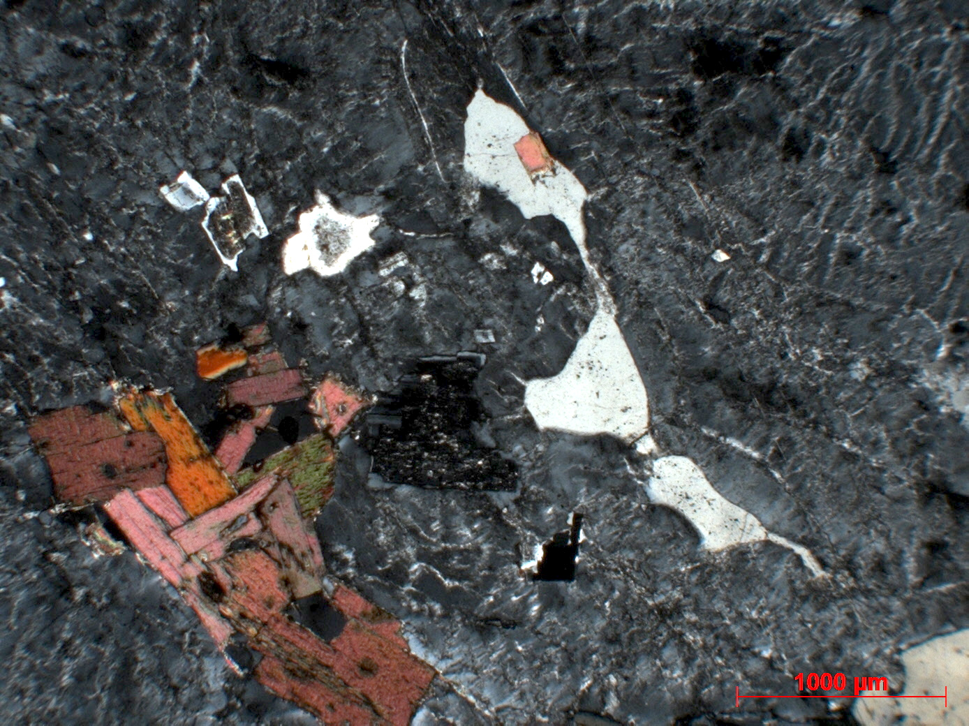 Granite Granite à deux micas    