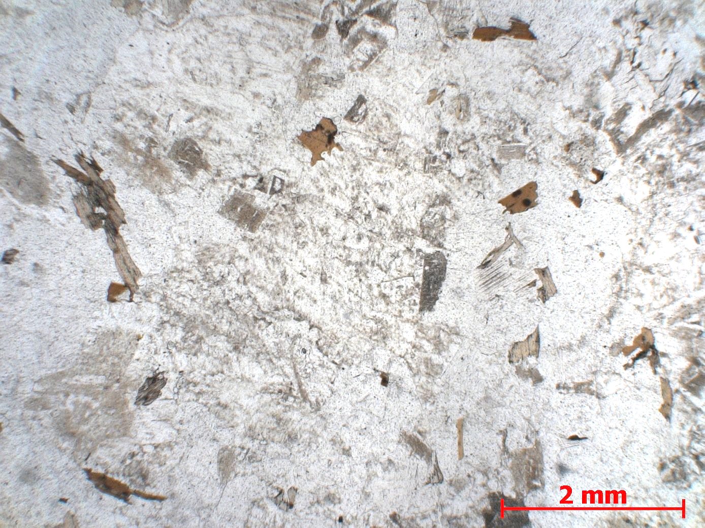 Granite Granite à biotite et muscovite    
