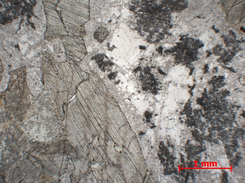  Microscope Méta-gabbro Gabbro du Chenaillet Alpes Massif du Chenaillet Montgenèvre 