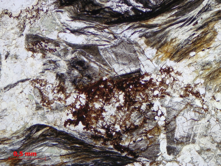  Microscope Schiste à lawsonite et chloritoïde Schiste à lawsonite et chloritoïde Alpes  Oulx Désertes