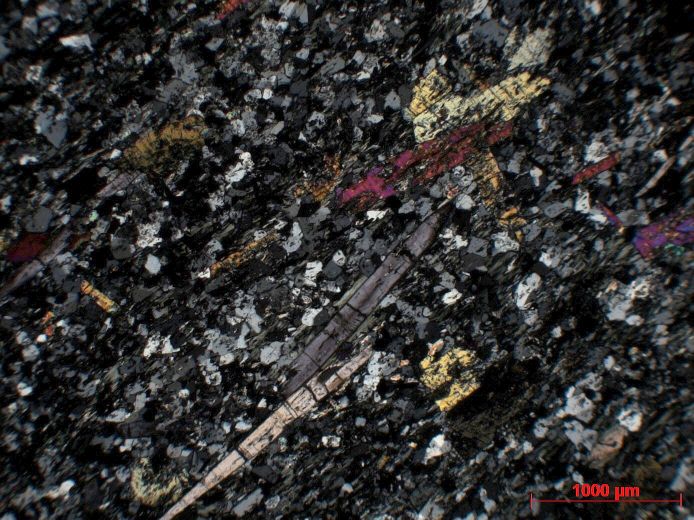 Microscope Gneiss à glaucophane, épidote et chlorite Gneiss à glaucophane, épidote et chlorite