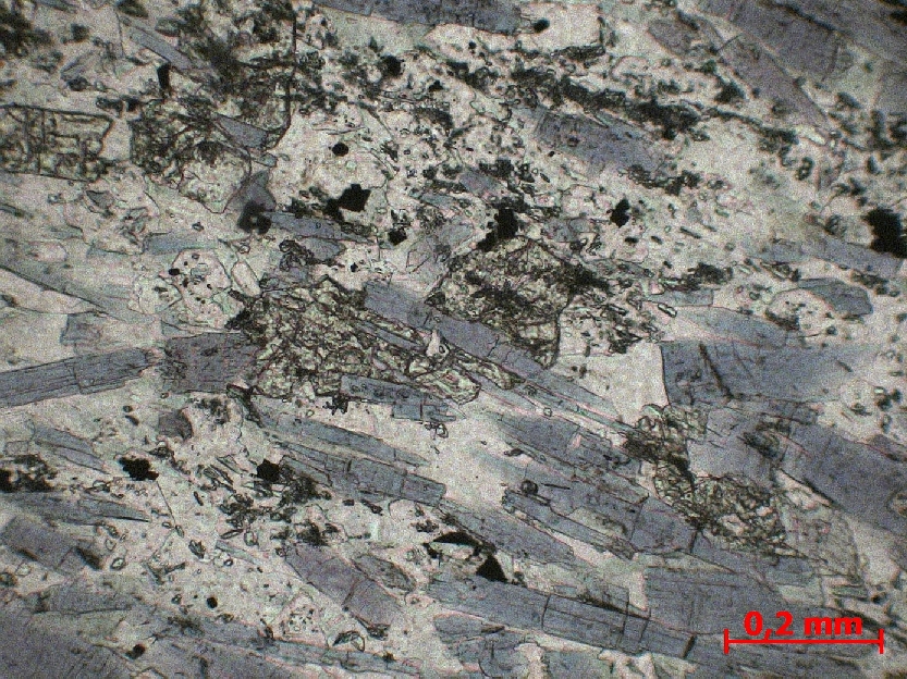  Microscope Glaucophanite Schiste bleu Massif armoricain Ile de Groix Locqueltas 