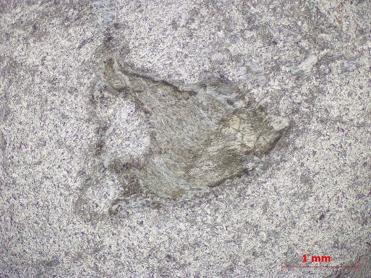  Microscope Méta-gabbro à lawsonite Gabbro du Queyras Alpes Queyras Château-Queyras Rives du Guil