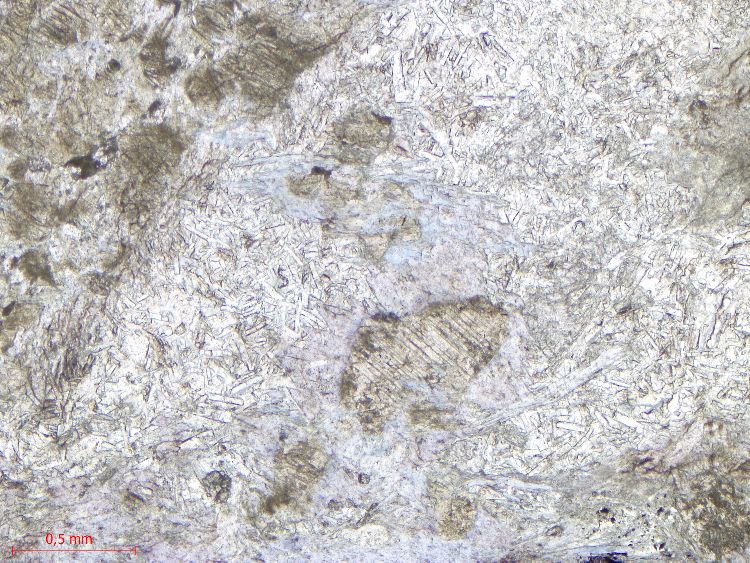  Microscope Méta-gabbro à lawsonite Gabbro du Queyras Alpes Queyras Abriès Bric Bouchet