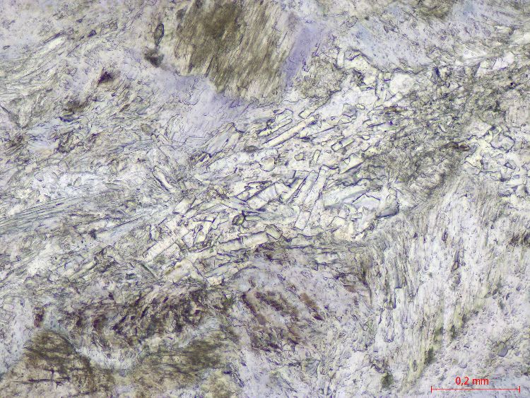  Microscope Méta-gabbro à lawsonite Gabbro du Queyras Alpes Queyras Abriès Bric Bouchet