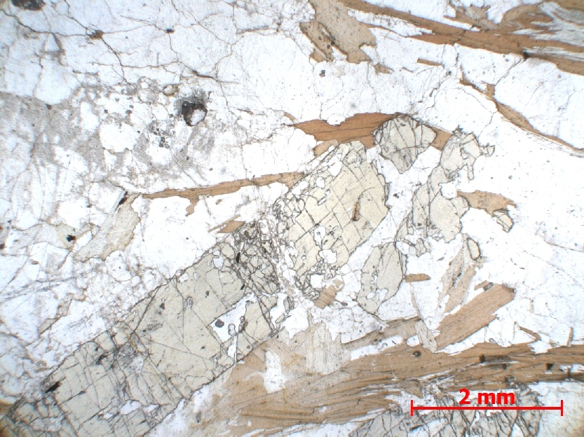  Microscope Micaschiste à staurotide Micaschiste à staurotide Provence Massif des Maures Rayol Canadel sur Mer Col du Canadel