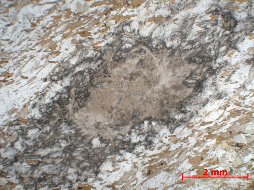  Microscope Micaschiste à sillimanite Micaschiste à sillimanite    