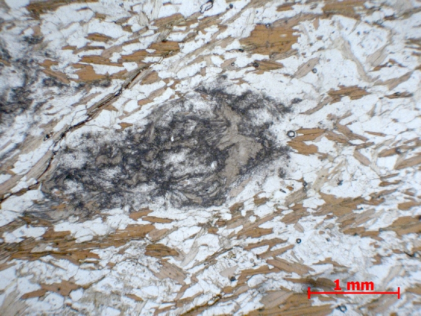  Microscope Micaschiste à sillimanite Micaschiste à sillimanite    