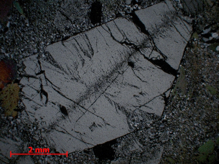 Microscope Micaschiste à grenat et staurotide Micaschiste à grenat et staurotide