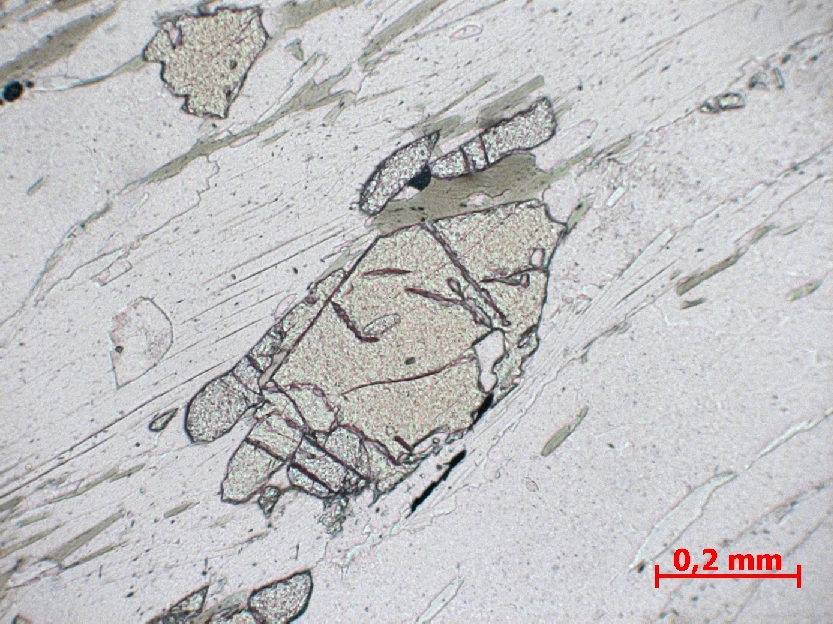  Microscope Micaschiste à grenat et staurotide Micaschiste à grenat et staurotide    