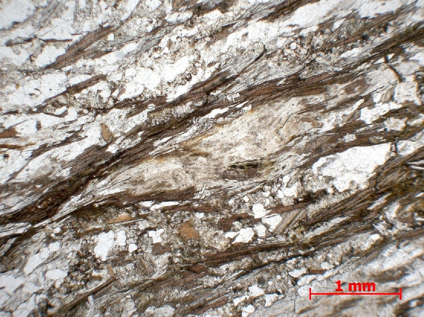  Microscope Gneiss à biotite et sillimanite Gneiss à fibrolites Massif central Haut-Allier  