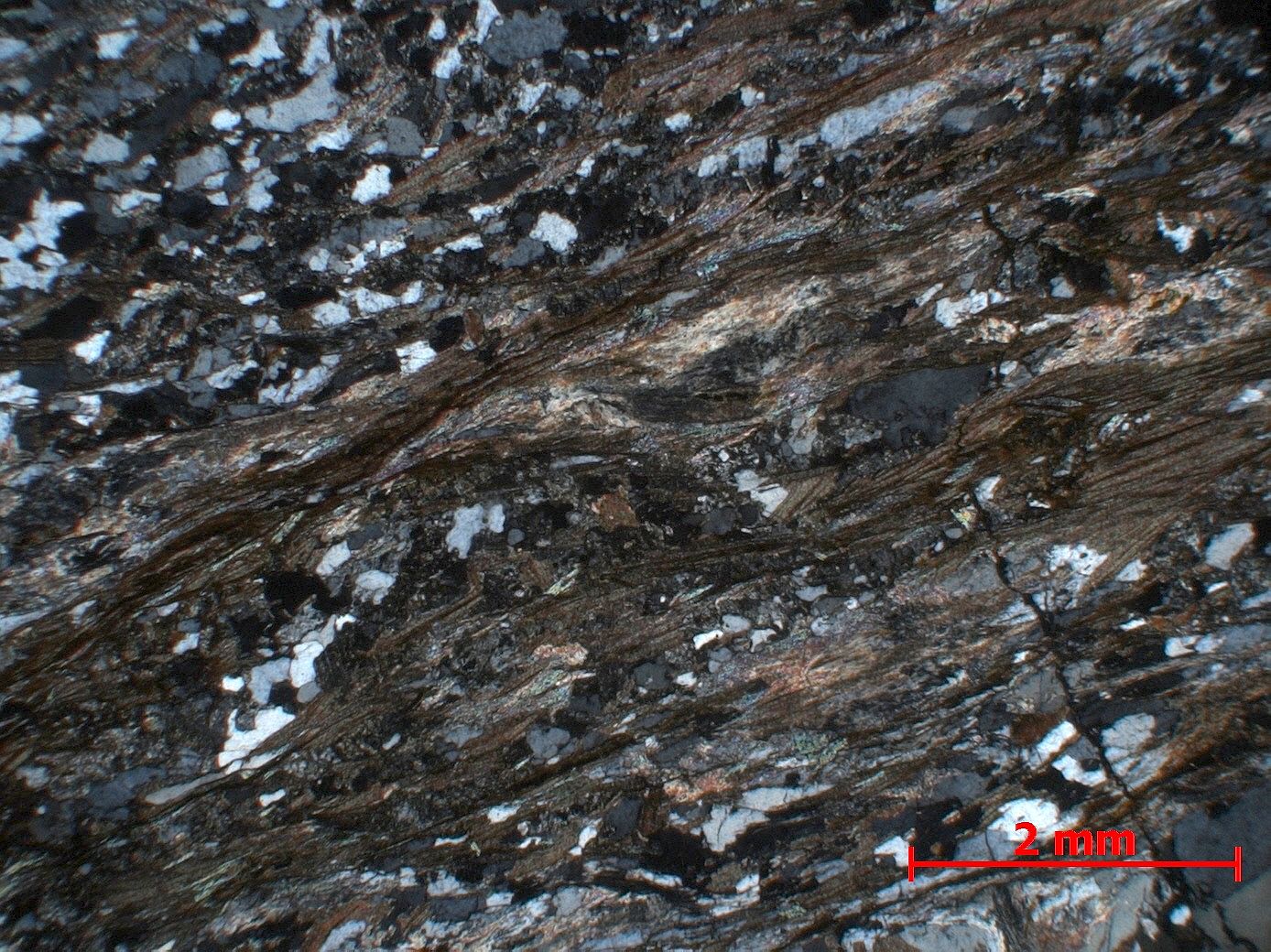 Gneiss à biotite et sillimanite Gneiss à fibrolites Massif central Haut Allier  