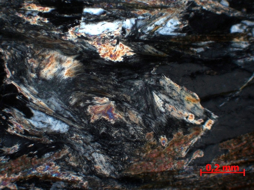  Microscope Gneiss à biotite et sillimanite Gneiss à fibrolites Massif central Haut-Allier  