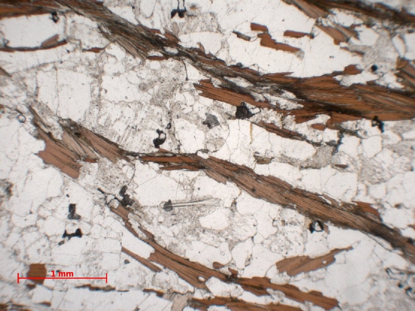  Microscope Micaschiste à sillimanite Micaschiste à sillimanite Massif central  Saint Ilpize 