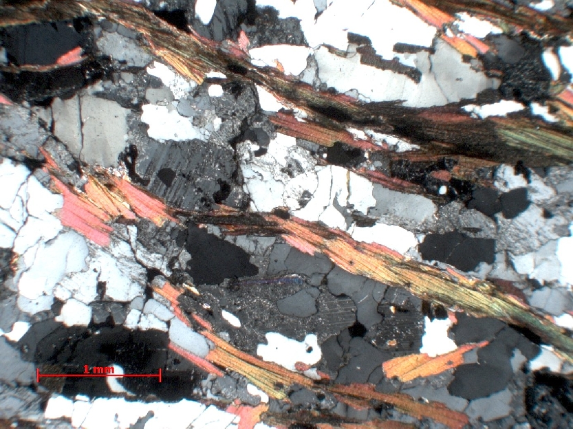  Microscope Micaschiste à sillimanite Micaschiste à sillimanite Massif central  Saint Ilpize 