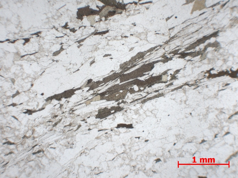  Microscope Orthogneiss Orthogneiss    
