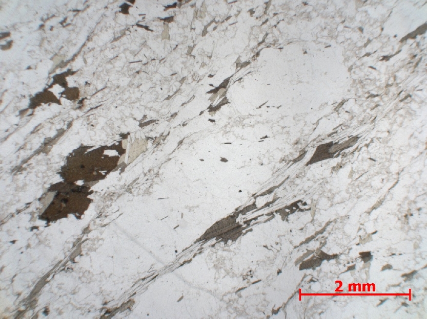  Microscope Orthogneiss Orthogneiss    