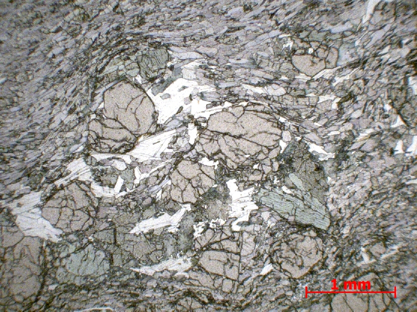  Microscope Éclogite Métabasite à grenat, disthène et omphacite    